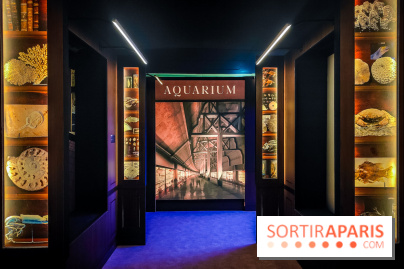 Enquête à Madagascar : nos photos de l'exposition immersive ultra ludique de l'Aquarium tropical - IMG20231113102316
