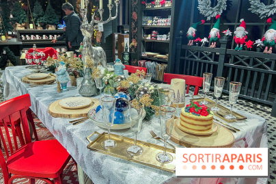 Un Noël Magique à So Ouest - IMG 8348