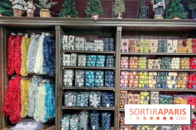 Un Noël Magique à So Ouest - IMG 8353