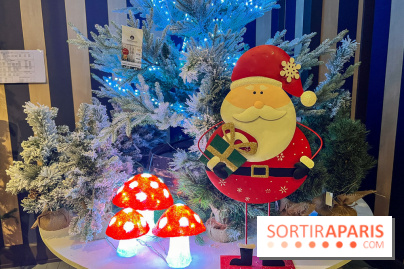 Un Noël Magique à So Ouest