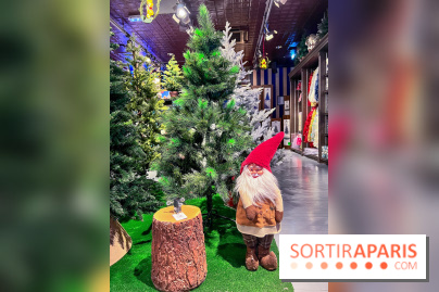 Un Noël Magique à So Ouest