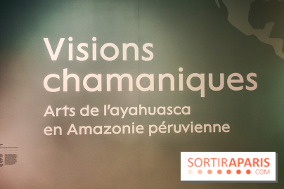 Visions chamaniques : l'exposition du musée du Quai Branly qui nous transporte en Amazonie