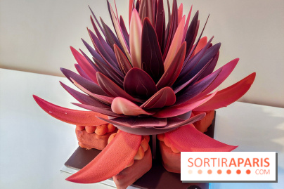 Bûches et chocolats de Noël 2023 de Pierre Marcolini, nos photos - 20230907 112813