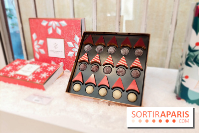 Bûches et chocolats de Noël 2023 de Pierre Marcolini, nos photos - 20230907 112939