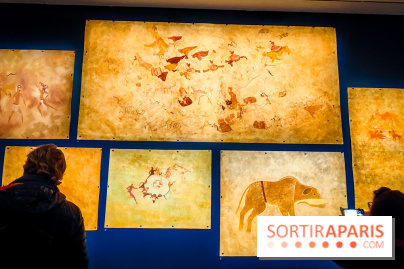 Préhistomania au Musée de l'Homme : l'exposition événement autour de l'art rupestre - nos photos - IMG20231115100005