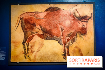 Préhistomania au Musée de l'Homme : l'exposition événement autour de l'art rupestre - nos photos - IMG20231115100219