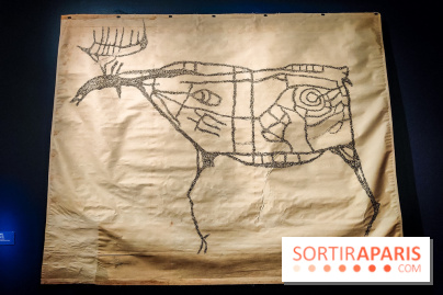 Préhistomania au Musée de l'Homme : l'exposition événement autour de l'art rupestre - nos photos - IMG20231115100042