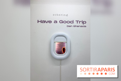 Exposition immersive Have a Good Trip Dan Ghenacia Sobering Galerie - IMG 1937