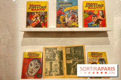 Lucha Libre à l'Institut culturel du Mexique - IMG 6776 2