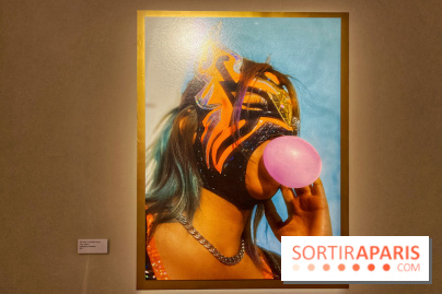 Lucha Libre à l'Institut culturel du Mexique