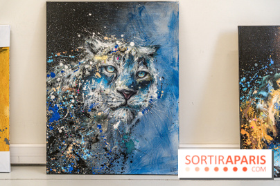 Le festival Street Art gratuit à la Poste du Louvre  -  A7C8170