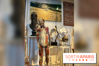 Le musée de l'Homme - collections permanentes - image00066