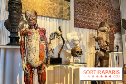 Le musée de l'Homme - collections permanentes - image00067