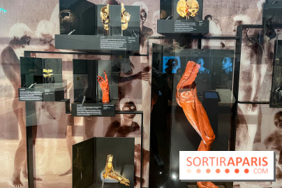 Le musée de l'Homme - collections permanentes - image00070