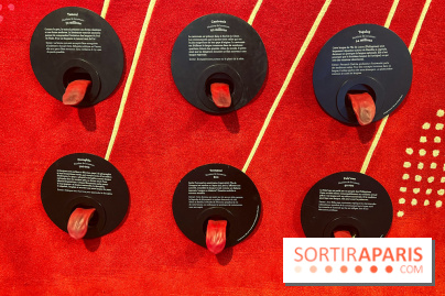 Le musée de l'Homme - collections permanentes - image00060