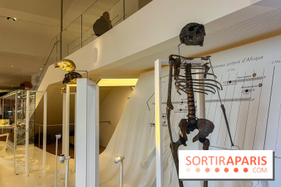 Le musée de l'Homme - collections permanentes - image00052