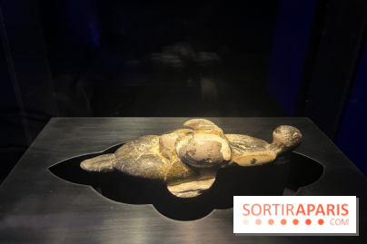 Le musée de l'Homme - collections permanentes - image00042