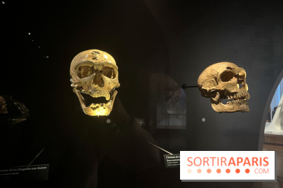 Le musée de l'Homme - collections permanentes