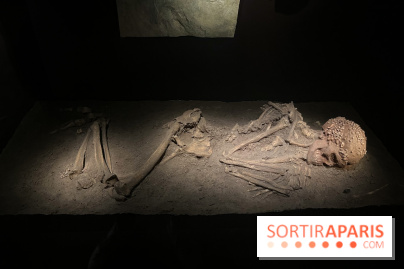 Le musée de l'Homme - collections permanentes - image00048