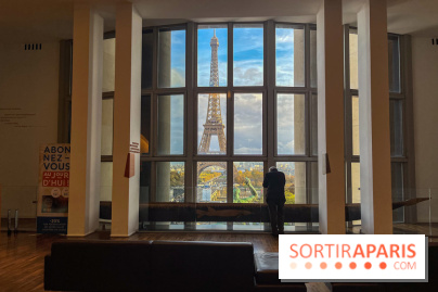 Le musée de l'Homme - collections permanentes - image00028