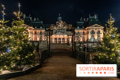 Le Grand Noël au Château de Vaux le Vicomte 2023 - photo -  A7C8416
