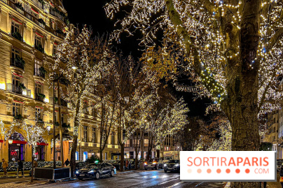 Les illuminations de Noël 2023 de l'Avenue Montaigne - cérémonie et décors féériques - image00046