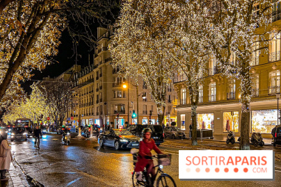 Les illuminations de Noël 2023 de l'Avenue Montaigne - cérémonie et décors féériques - image00063