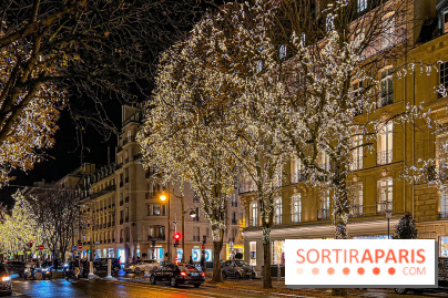 Les illuminations de Noël 2023 de l'Avenue Montaigne - cérémonie et décors féériques - image00064