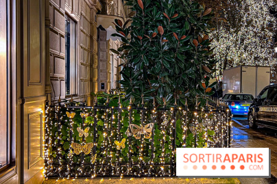 Les illuminations de Noël 2023 de l'Avenue Montaigne - cérémonie et décors féériques
