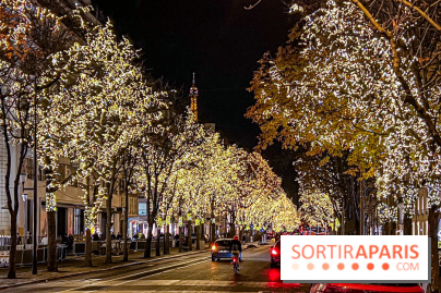 Les illuminations de Noël 2023 de l'Avenue Montaigne - cérémonie et décors féériques - image00079