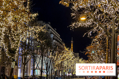 Les illuminations de Noël 2023 de l'Avenue Montaigne - cérémonie et décors féériques - image00081