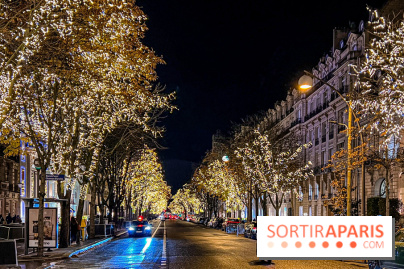 Les illuminations de Noël 2023 de l'Avenue Montaigne - cérémonie et décors féériques - image00082