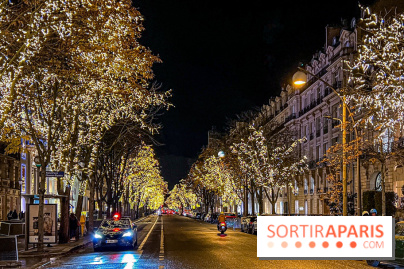 Les illuminations de Noël 2023 de l'Avenue Montaigne - cérémonie et décors féériques - image00084