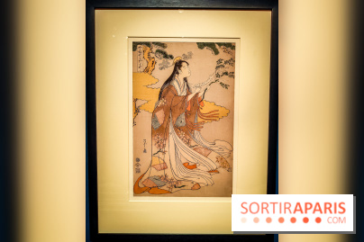 Exposition A la cour du Prince Genji : l'imaginaire japonaise se dévoile au musée Guimet  - IMG20231121101542