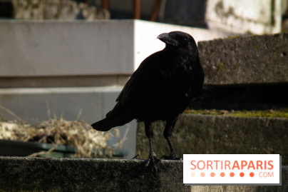 Le Père Lachaise, le cimetière le plus mythique de Paris et ses tombes de personnalités célèbres