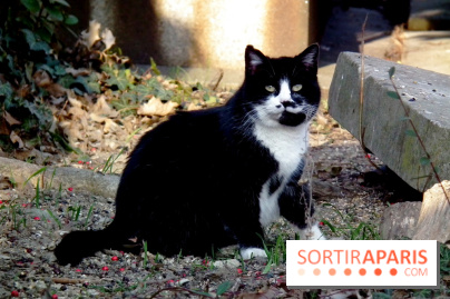 Le Père Lachaise, le cimetière le plus mythique de Paris et ses tombes de personnalités célèbres