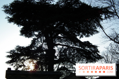Le Père Lachaise, le cimetière le plus mythique de Paris et ses tombes de personnalités célèbres