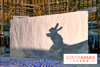 Spectacle d'ombres au Printemps Haussmann - IMG 4417 jpg