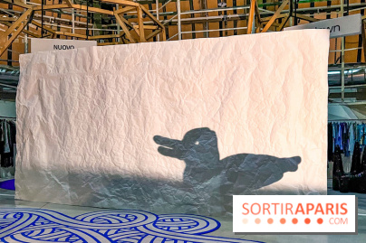 Spectacle d'ombres au Printemps Haussmann - IMG 4450 jpg