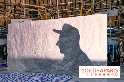 Spectacle d'ombres au Printemps Haussmann - IMG 4476 jpg