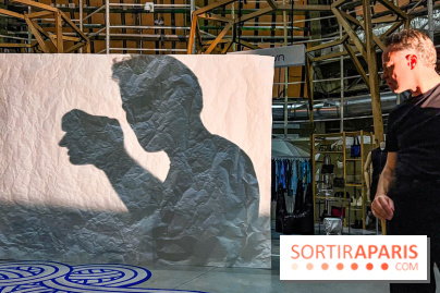 Spectacle d'ombres au Printemps Haussmann - IMG 4485 jpg