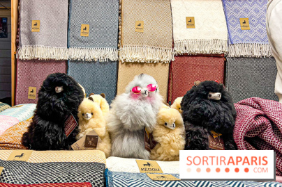 Le Marché de Noël de Boulogne Billancourt (92) - image00039