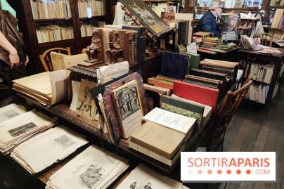 Librairie Jousseaume - 154215
