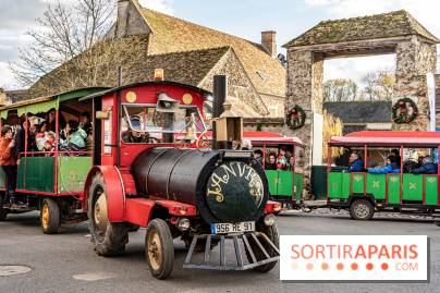 Le Marché de Noël de Janvry -  A7C8904