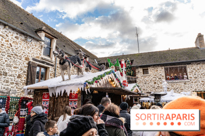 Le Marché de Noël de Janvry -  A7C8976