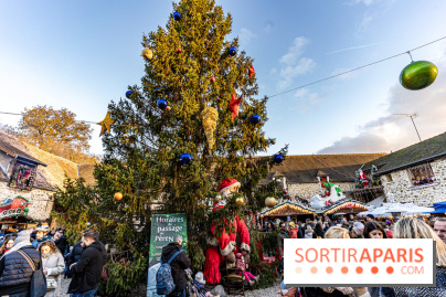 Le Marché de Noël de Janvry -  A7C8994