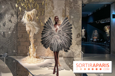 L’exposition retrospective de la créatrice de mode Iris Van Herpen au Musée des Arts Décoratifs - image00053