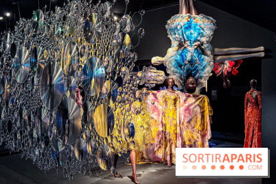 L’exposition retrospective de la créatrice de mode Iris Van Herpen au Musée des Arts Décoratifs - image00070