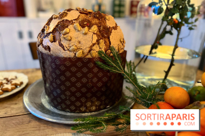 Panettone de Noël 2023 Christophe Louie x Dammann Frères