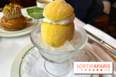 Madonna - Citron givré